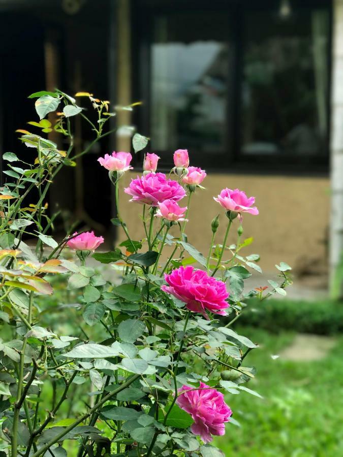 May Homestay - Tam Coc Local Village Ninh Binh Exterior photo